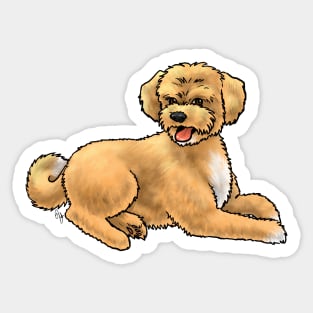 Dog - Aussiedoodle - Apricot Sticker